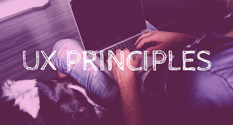 Learn User Experience Design Series: UX Principles feature image